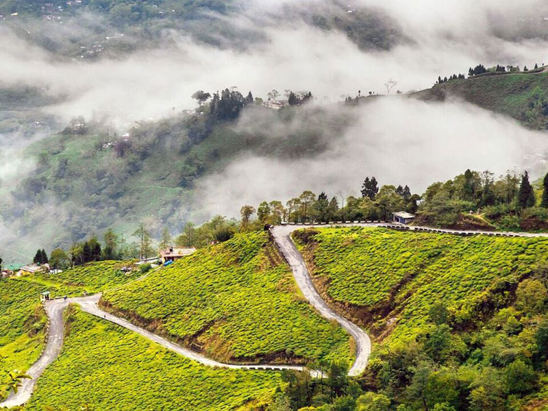 Darjeeling - An escape with The queen of hills 