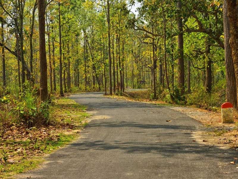 Jhargram - perfect blend of culture and tranquility
