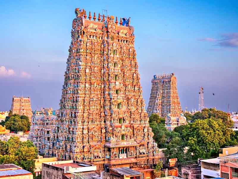 Divine Devotion: A Madurai Pilgrimage