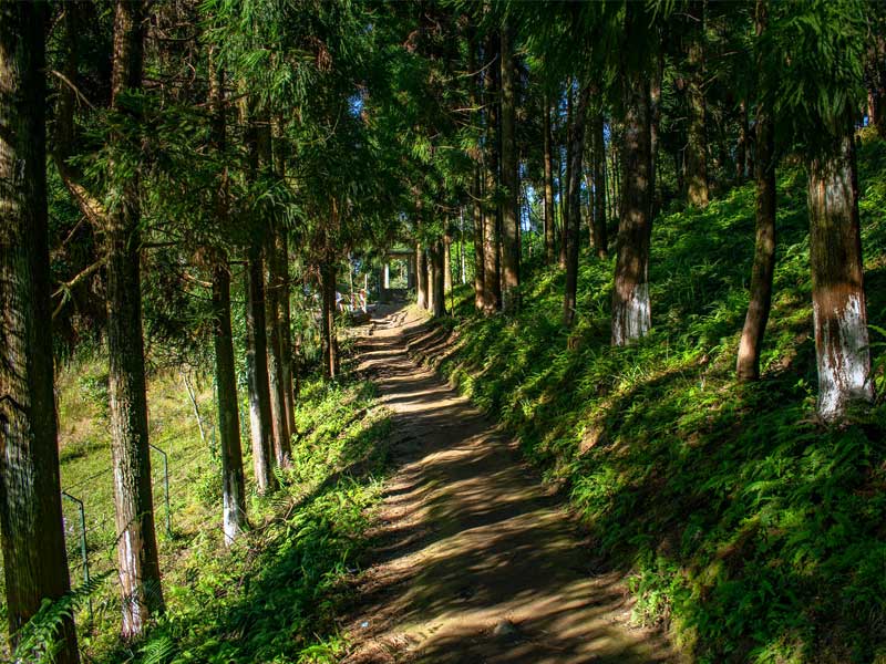 Latpanchar: A Himalayan Retreat